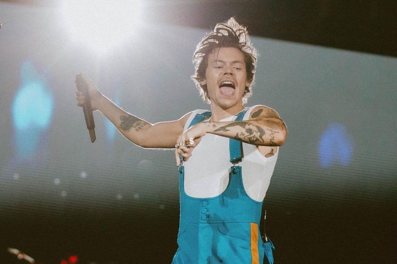 Harry Styles, eufórico en River. (Instagram @dfallaccess)