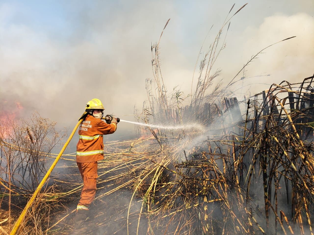El predominante Viento Sur complicó el labor de los bomberos. Foto: Claudio Gutiérrez / Los Andes
