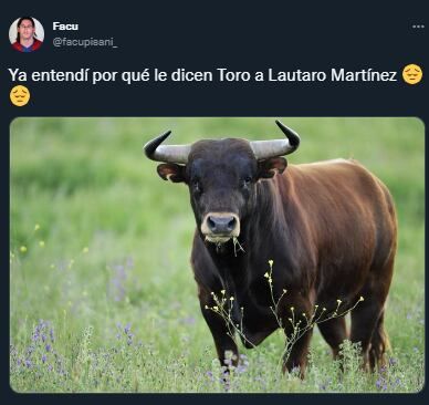 Los memes sobre Lautaro Martínez