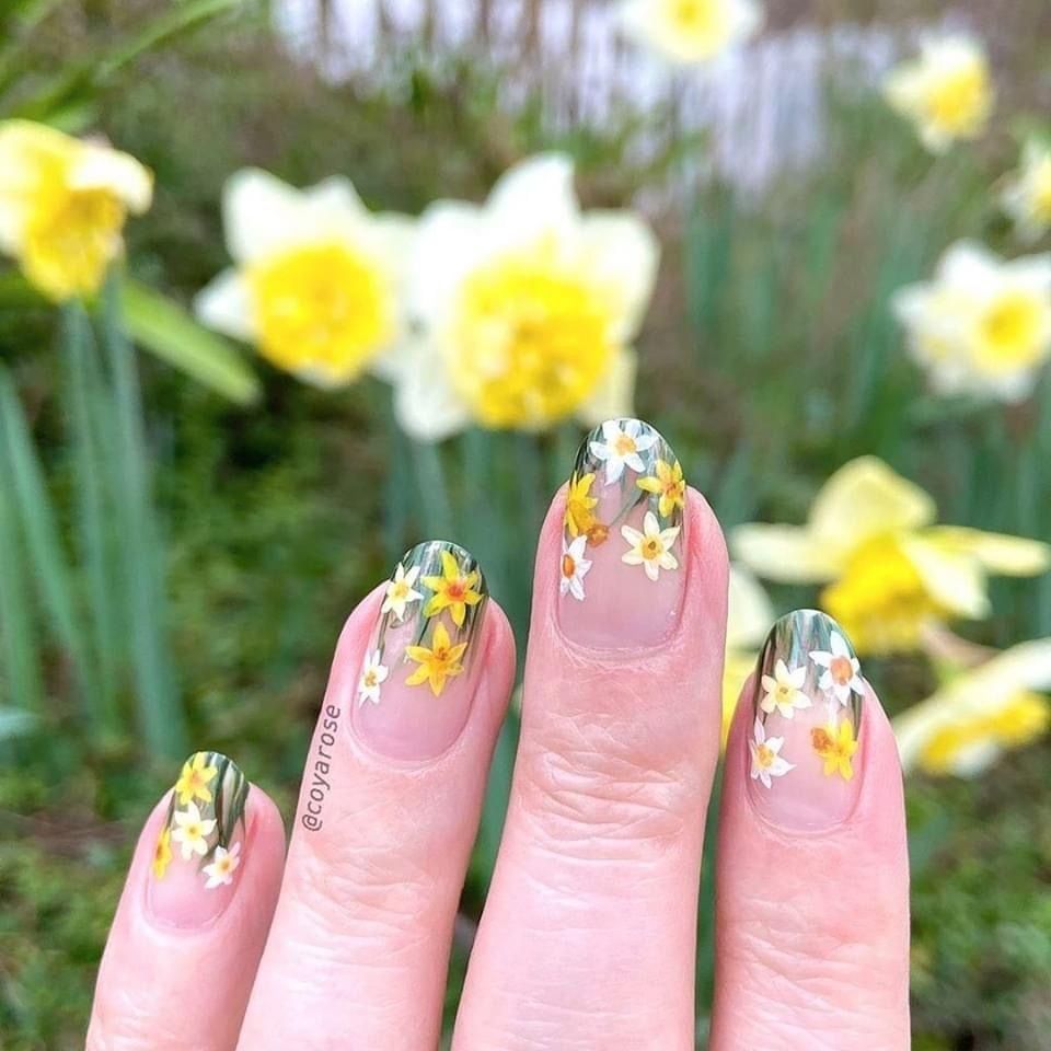 Uñas Silvestres. Foto: Pinterest