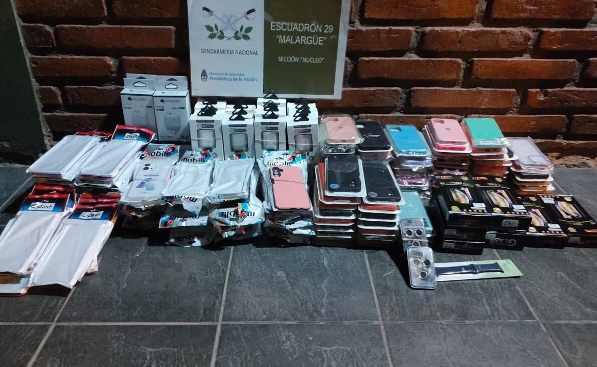 Secuestraron mercadería de contrabando, armas y hasta restos paleontológicos en Malargüe. | Foto: Gendarmería Nacional