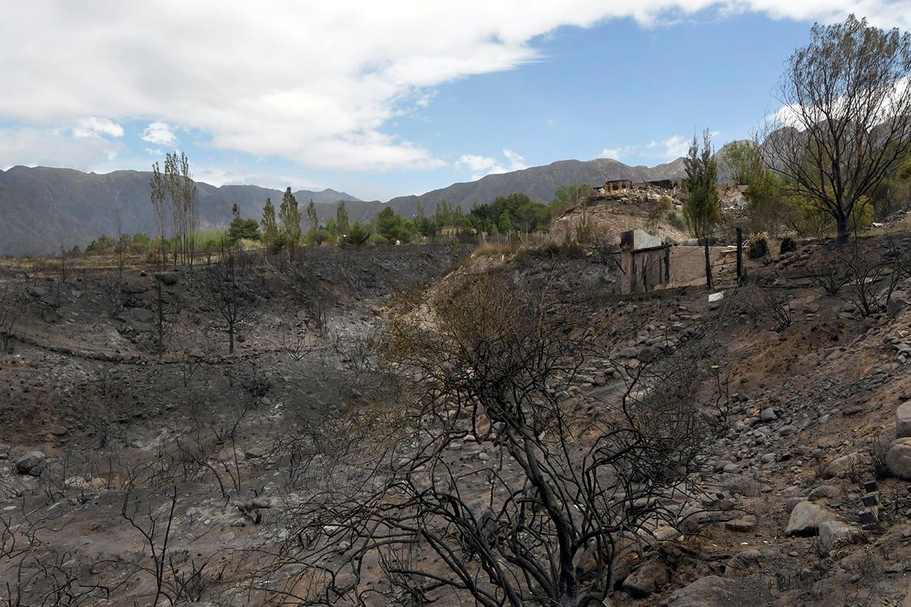 Con el viento Zonda se propagaron distintos focos de incendio que consumieron a unas 2.500 hectáreas en el piedemonte de Luján de Cuyo. Portal Suizo

Foto: Orlando Pelichotti