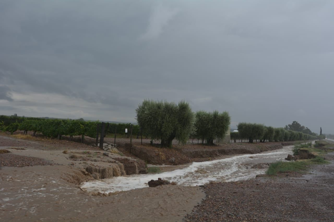 Ugarteche y Los Cerrillos - Nicolás Ríos