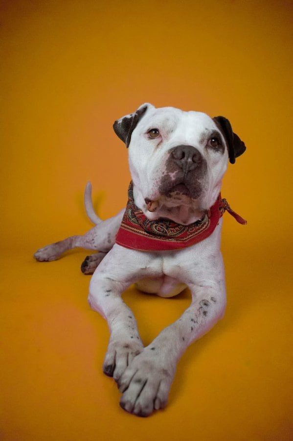 En increíble antes y después de Pua - Fotos @ariadnnasp