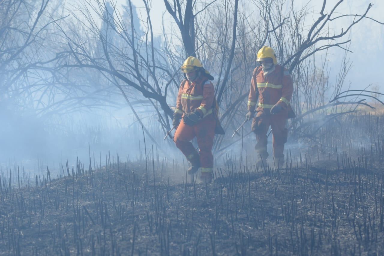 Se cree que había por los menos cuatro focos - José Gutiérrez