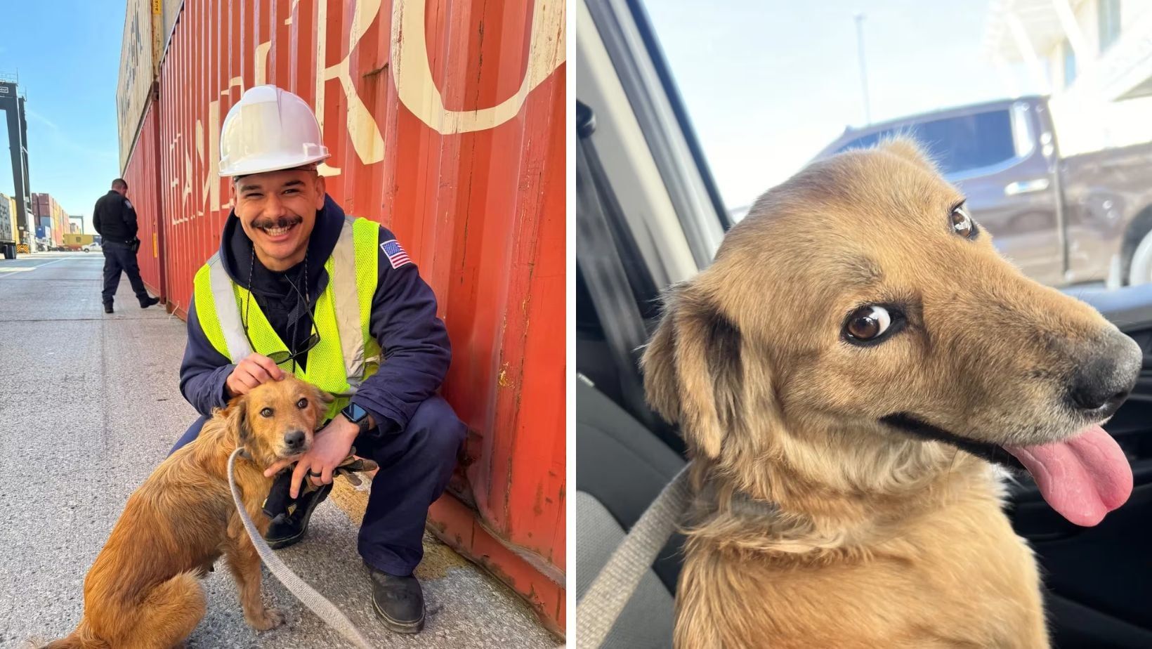 Connie, junto a Ryan McMahon, podrá gozar de una nueva oportunidad de vida. (Facebook/U.S Coast Guard Heartland)
