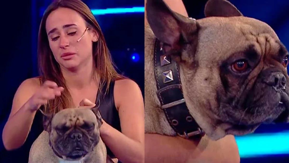 Martina se emocionó con la entrada de Atilio