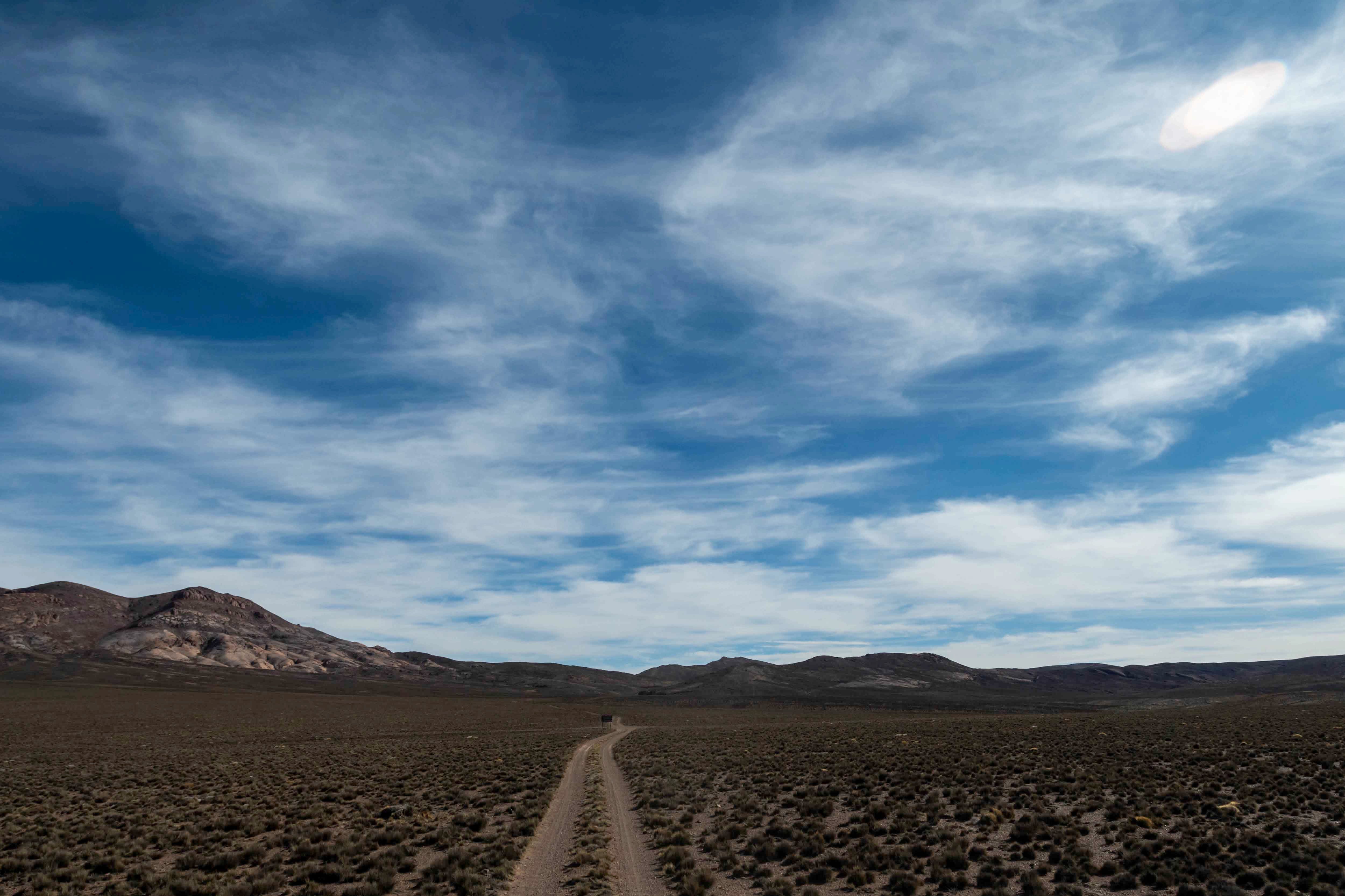 Mendoza 10 de junio de 2020 Sociedad, Reserva Natural Villavicencio, Pampa de Canota.  El cuerpo de Guardaparques de la Reserva Natural Villavicencio realiza un atrabajo de conservacion y prevencion de la caceria ilegal. Gracias a este trabajo se comenzo a recuperar la poblacion de las destintas especies que habitan la montana mendocina.      Foto: Ignacio Blanco / Los Andes Zorro