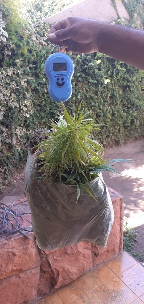 Ministerio de Seguridad.