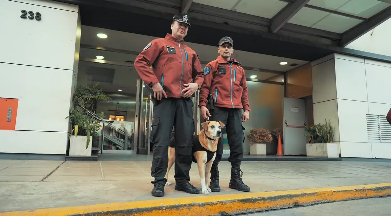 Un perro mestizo se convirtió en oficial mayor de la Policía y en el alma del barrio. Foto TN