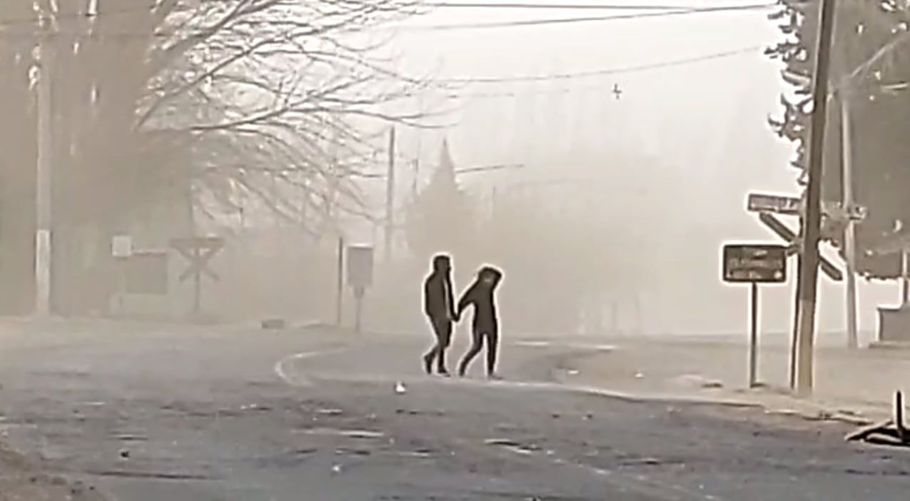 Se espera que para este miércoles el zonda baje al llano.