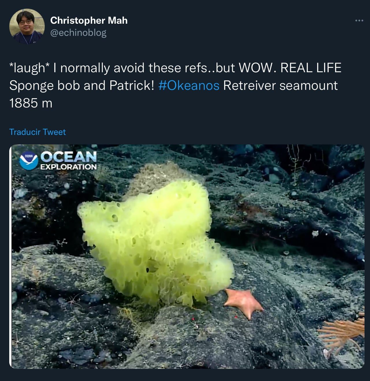 Bob Esponja y Patricio Estrella