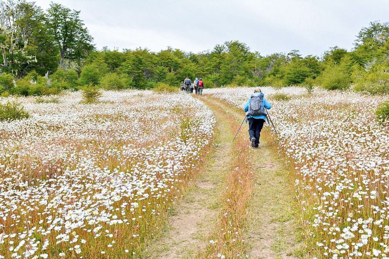 Turismo en Tierra del Fuego.