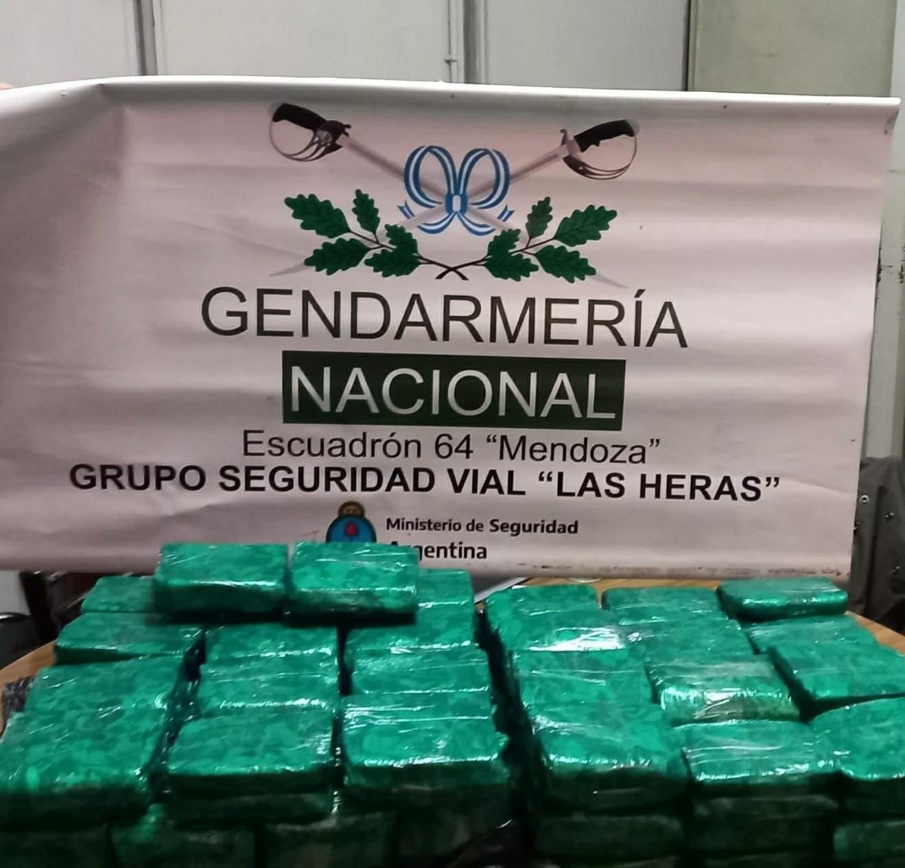 Los hojas de coca decomisadas ayer en Mendoza. Gentileza Gendarmería Nacional.