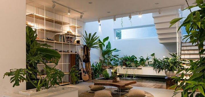 Interiorismo Biofílico