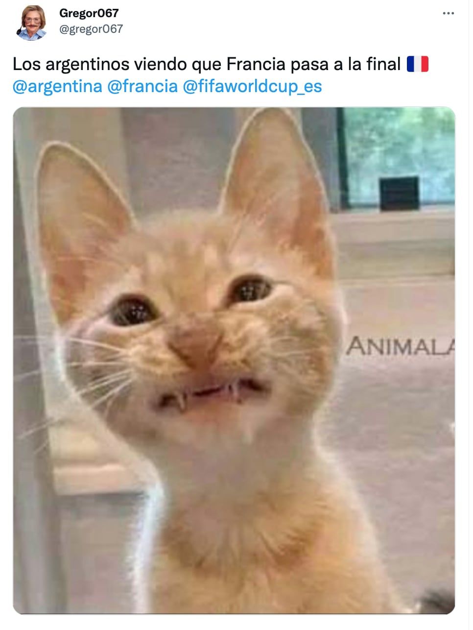 Francia jugará la final del Mundial con Argentina y estallaron los memes