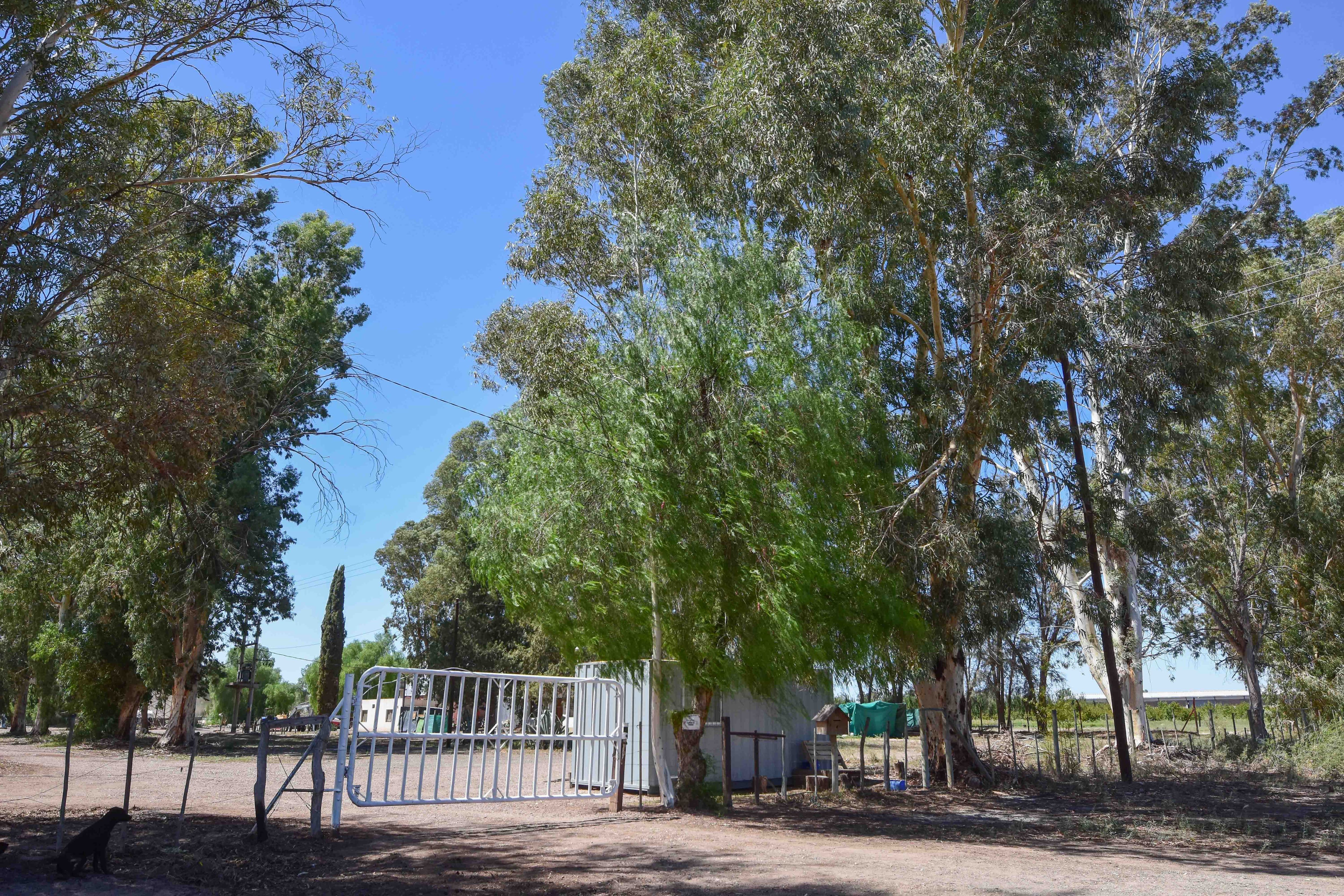 A una semana del femicidio en Nueva California, la comunidad surcoreana vuelve a la normalidad laboral en el complejo donde residen y trabajan

Foto: Mariana Villa / Los Andes