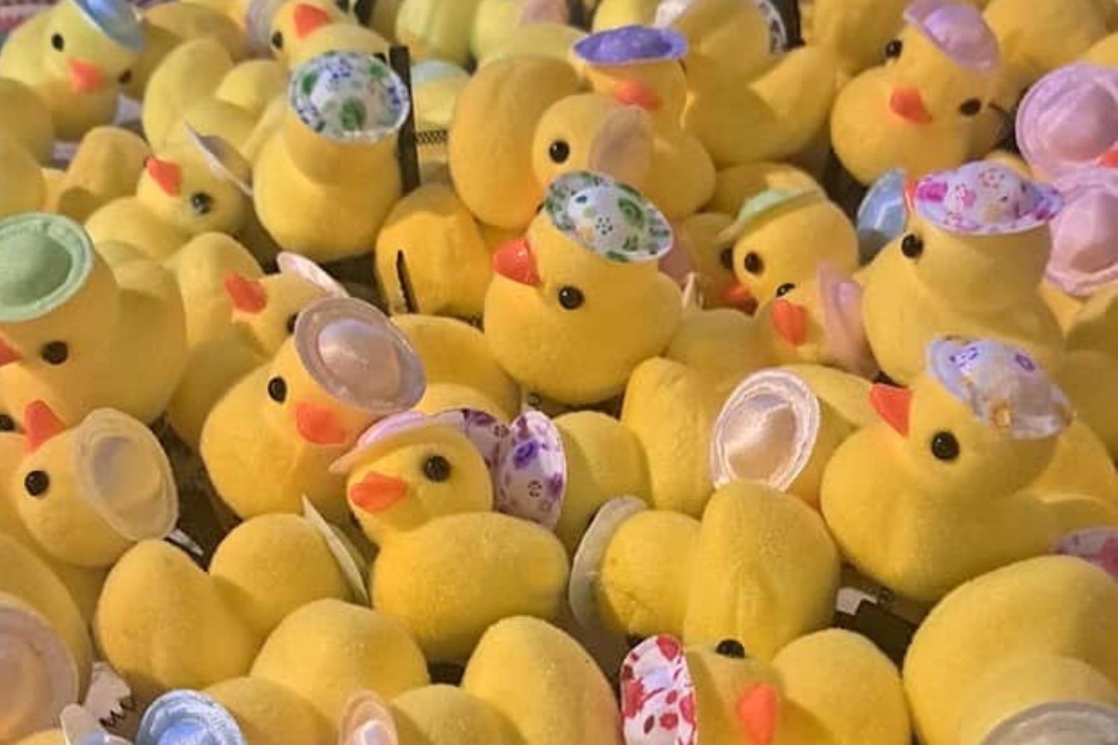 Pegados a un ganchito que se usa en la cabeza, estos patos de goma se hicieron virales en redes sociales y ahora las grandes urbes del país lo adoptaron como ítem infaltable en sus looks diarios. Pero, ¿Cuál es su significado?