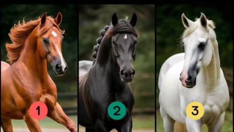 Dependiendo que caballo veas primero es cuán fuerte es tu carácter