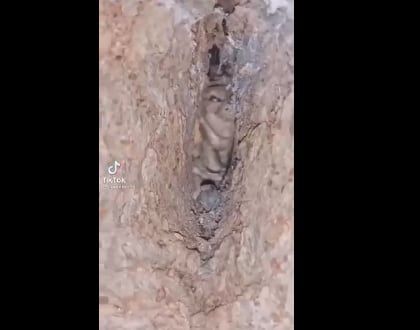 Supuesto duende en Córdoba. Captura video TikTok