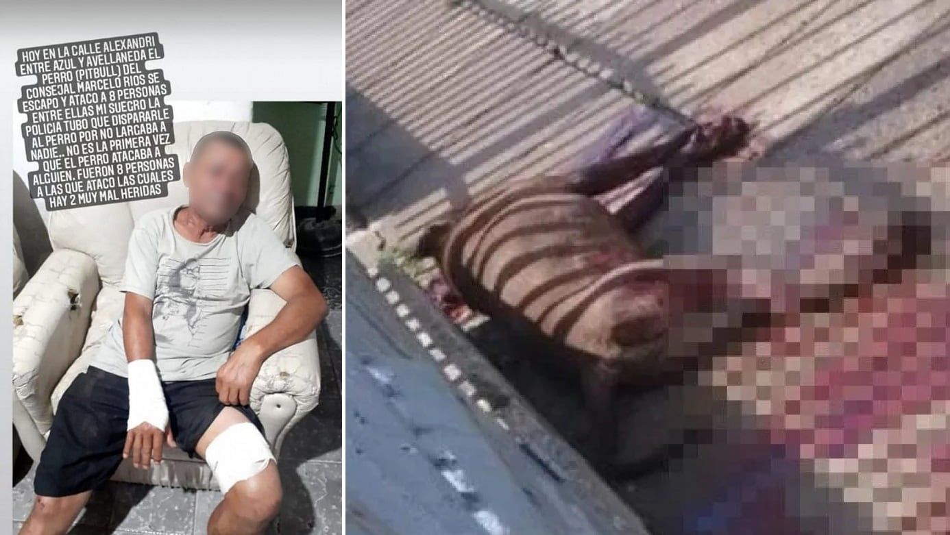 La Policía mató al perro para salvar a los vecinos -