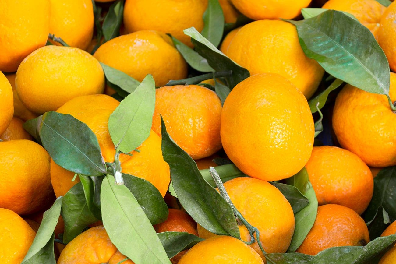 Receta de budín de mandarina. (Freepik)