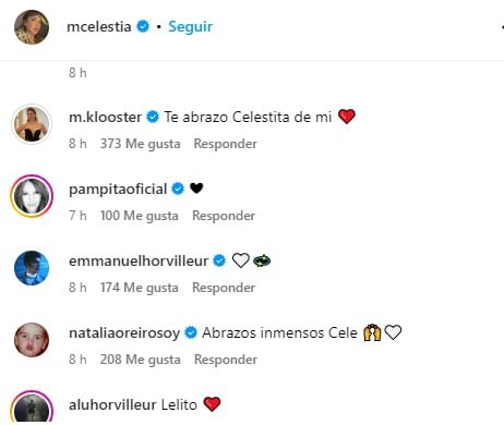 Los famosos que dejaron sus mensaje de apoyo a Celeste Cid en las rede sociales