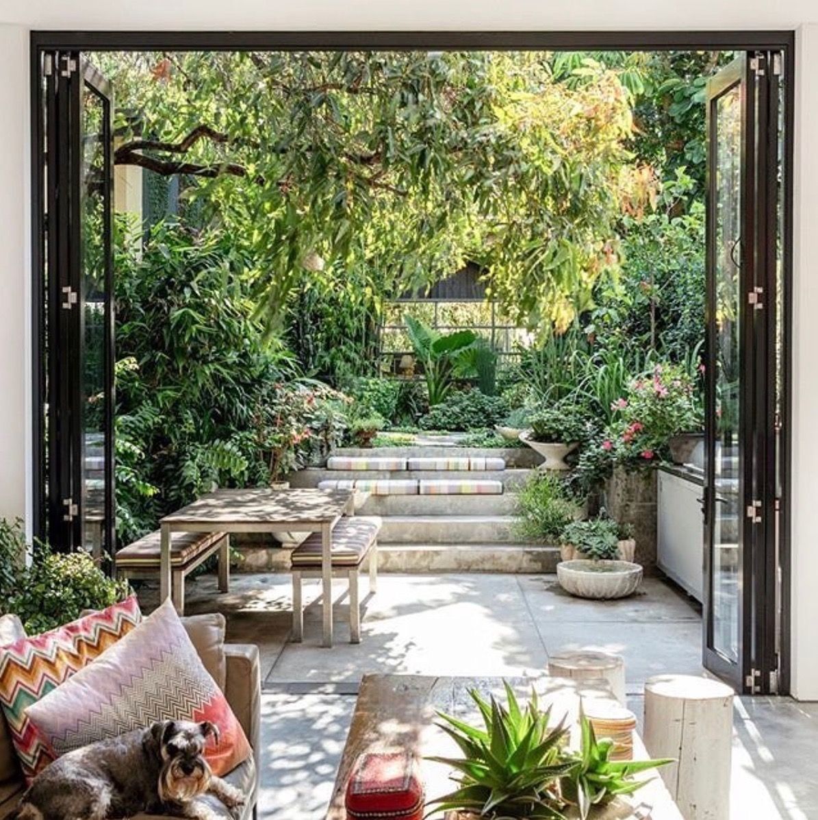 Interiorismo Biofílico