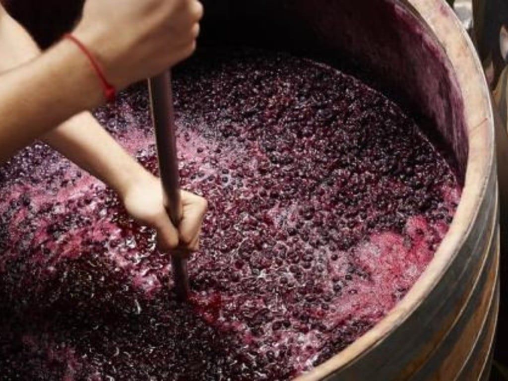 El precio promedio del mosto concentrado durante el primer bimestre del año se sitúa en U$S 1.652.