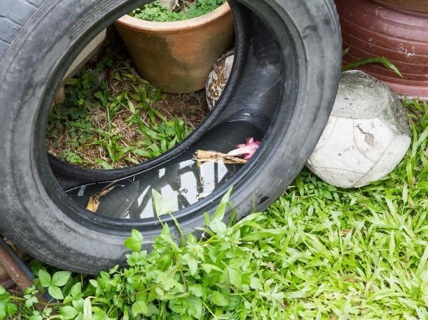 Hay que evitar que se estanque agua así no aparecen mosquitos.