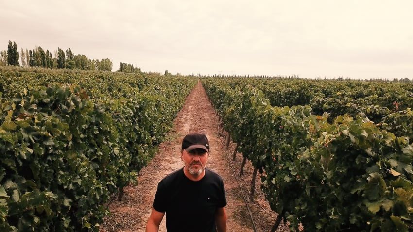 
    En el primer capítulo, un recorrido por los viñedos de Mendoza.
   