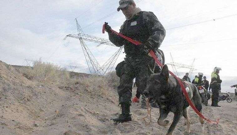 Alcón junto a sus adiestrador Marcos Herrero.