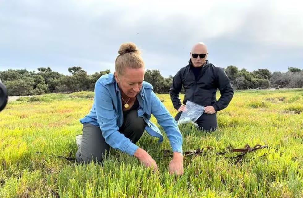 Germán Martitegui vuelve con "Tierras": / Archivo