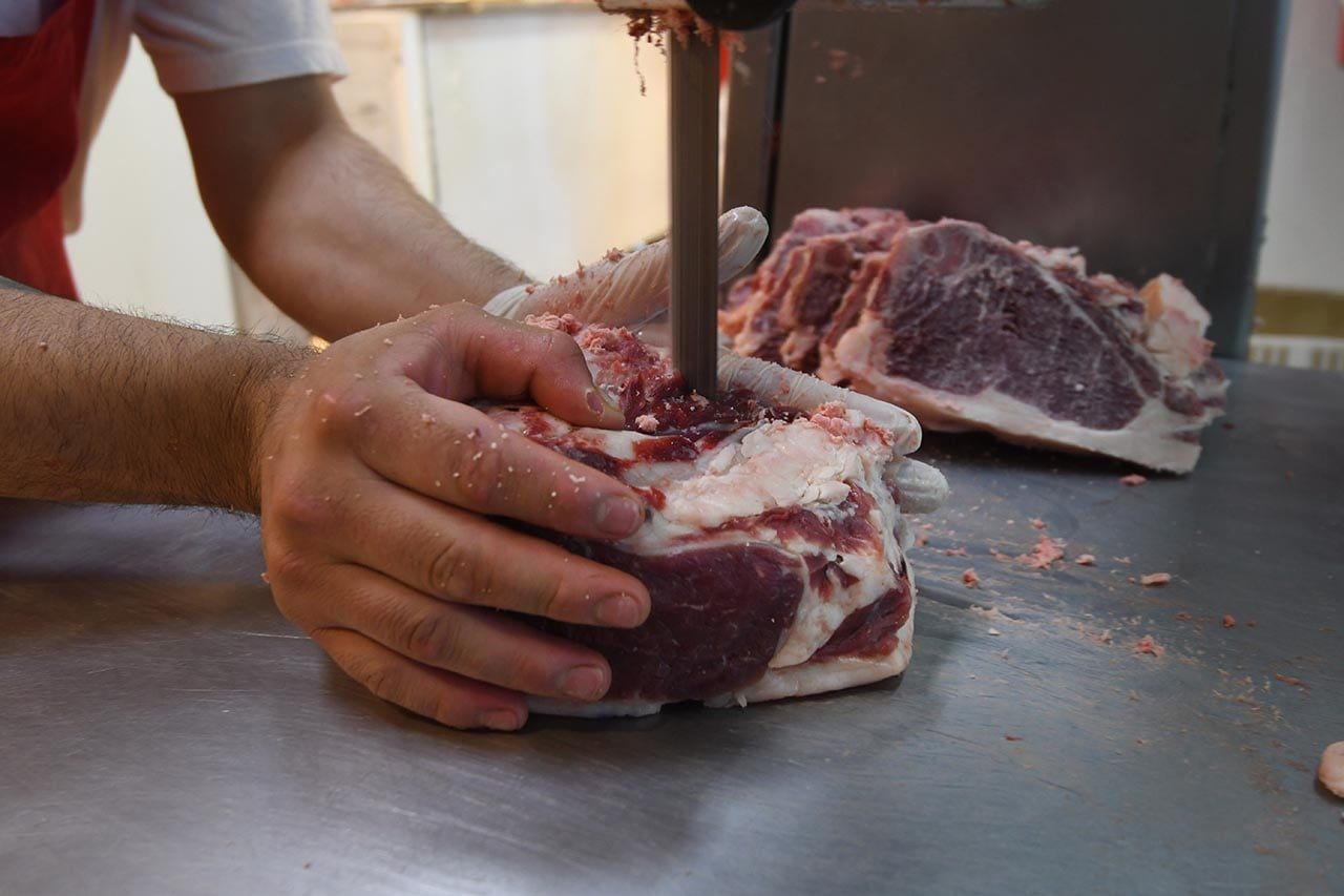 Imagen Ilustrativa. Foto: José Gutierrez/ Los Andes