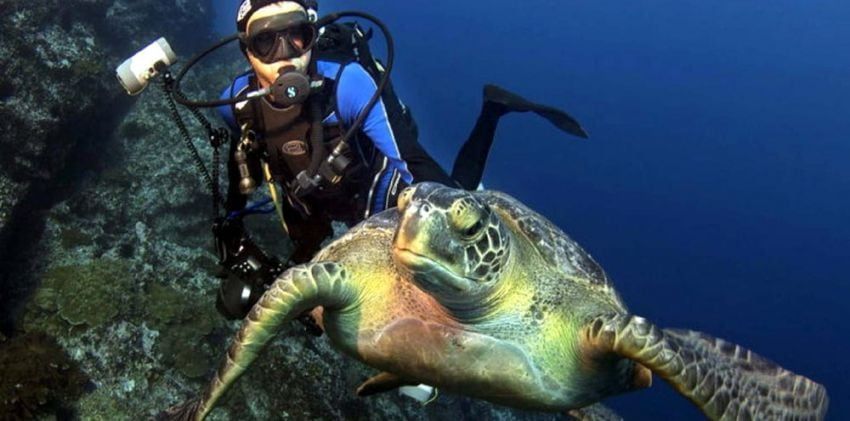 
    Costa Rica. Buceo del científico junto a una tortuga de las islas del Coco en Costa Rica.
   