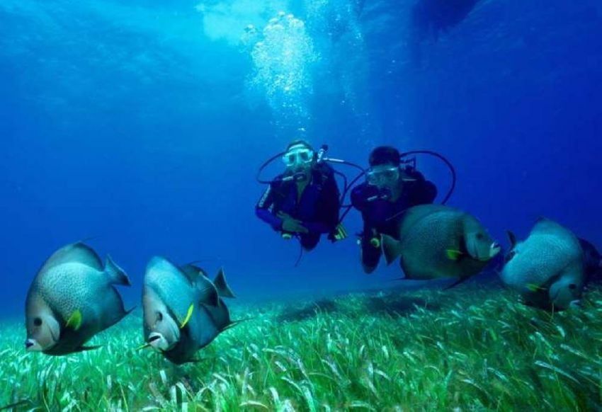 
    Maya. El buceo es muy popular en la Riviera Maya.
   