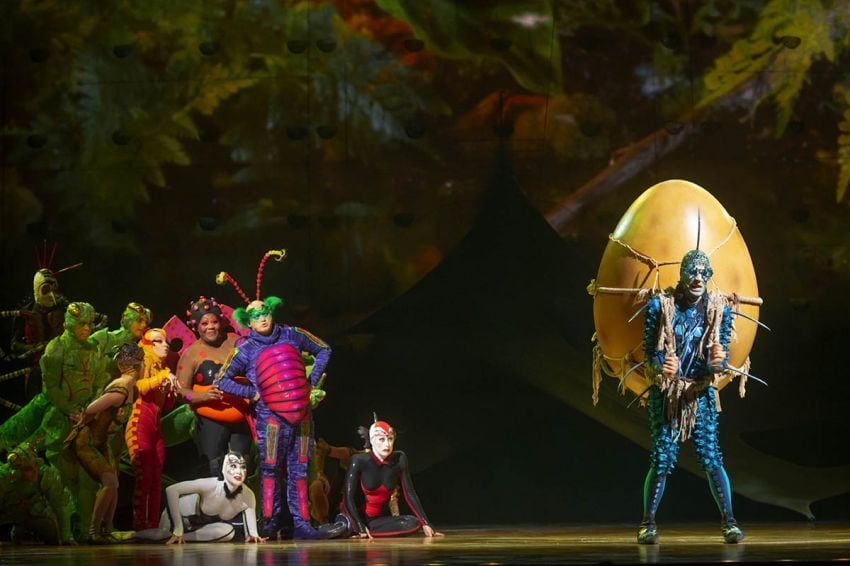 
    Ignacio Blanco / Los Andes
   