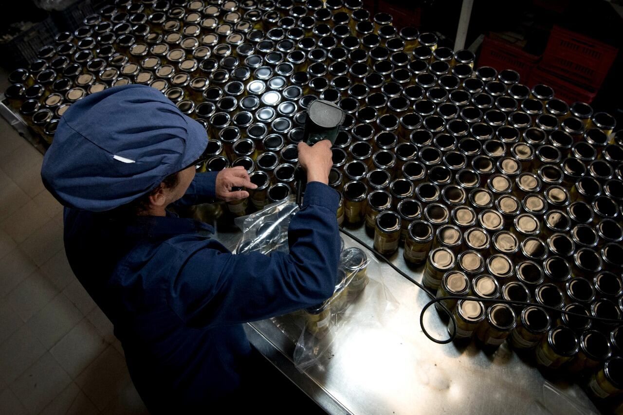 Las empresas MiPyMEs cuyas deudas comerciales superen los U$S 500.000 tendrán acceso prioritario al bono de tramo corto BOPREAL Serie 2, con flujos de amortización en dólares entre julio de 2024 y junio de 2025. Foto: Imagen ilustrativa - Orlando Pelichotti / Los Andes