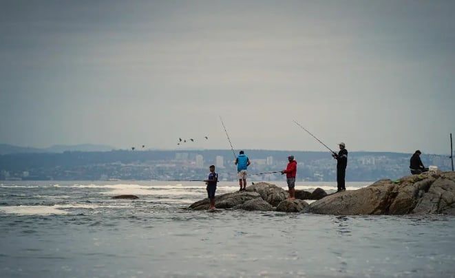 Ritoque, la tranquila playa de dunas y bosques ubicada a una hora de Reñaca e ideal para surfear. Foto: Instagram @danielsan2x2