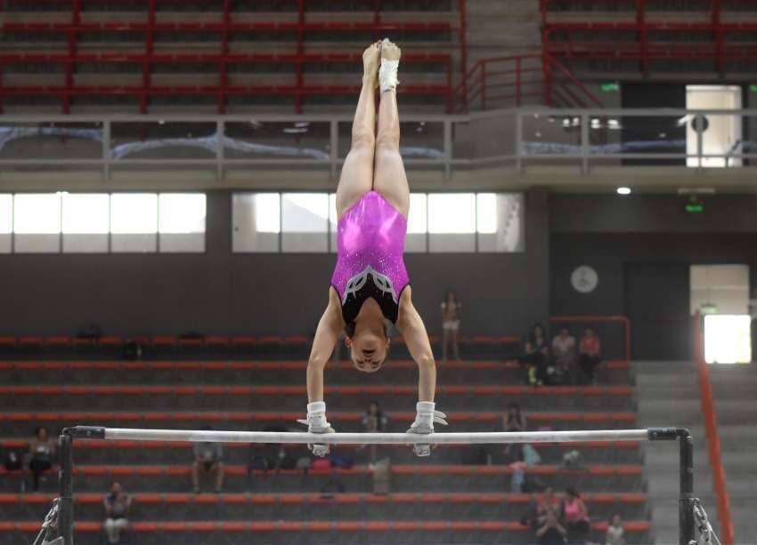 Gustavo Rogé / Los Andes