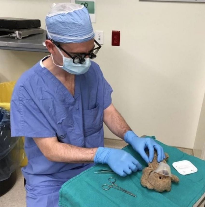 
    El médico cose al osito a pedido de su pequeño dueño. / Twitter
   