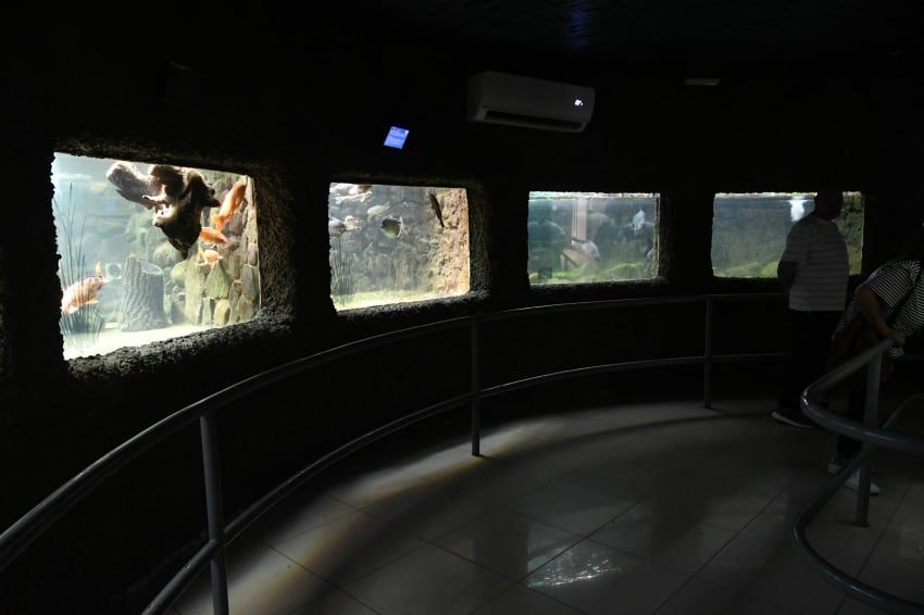 
    José Gutiérrez / Los Andes
   