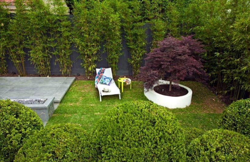 Para planificar un jardín hay que calcular el trabajo que requiere cada planta.