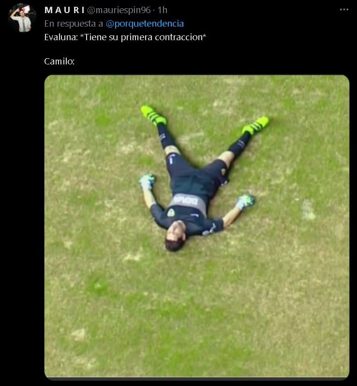 Los memes a Camilo luego de que trascendiera que tuvo un embarazo psicológico.
