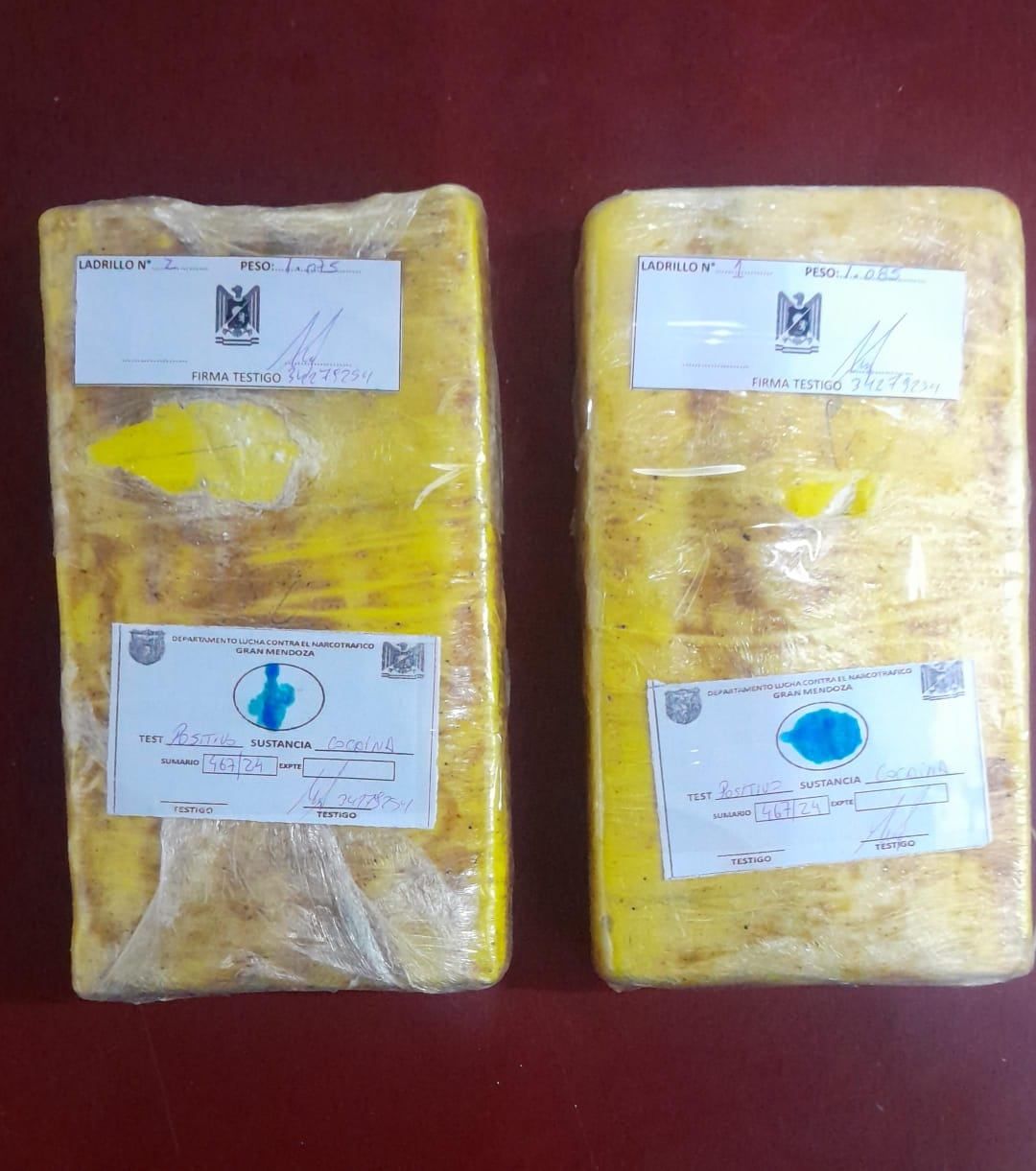 La cocaína encontrada en Lavalle. | Foto: Ministerio de Seguridad y Justicia.