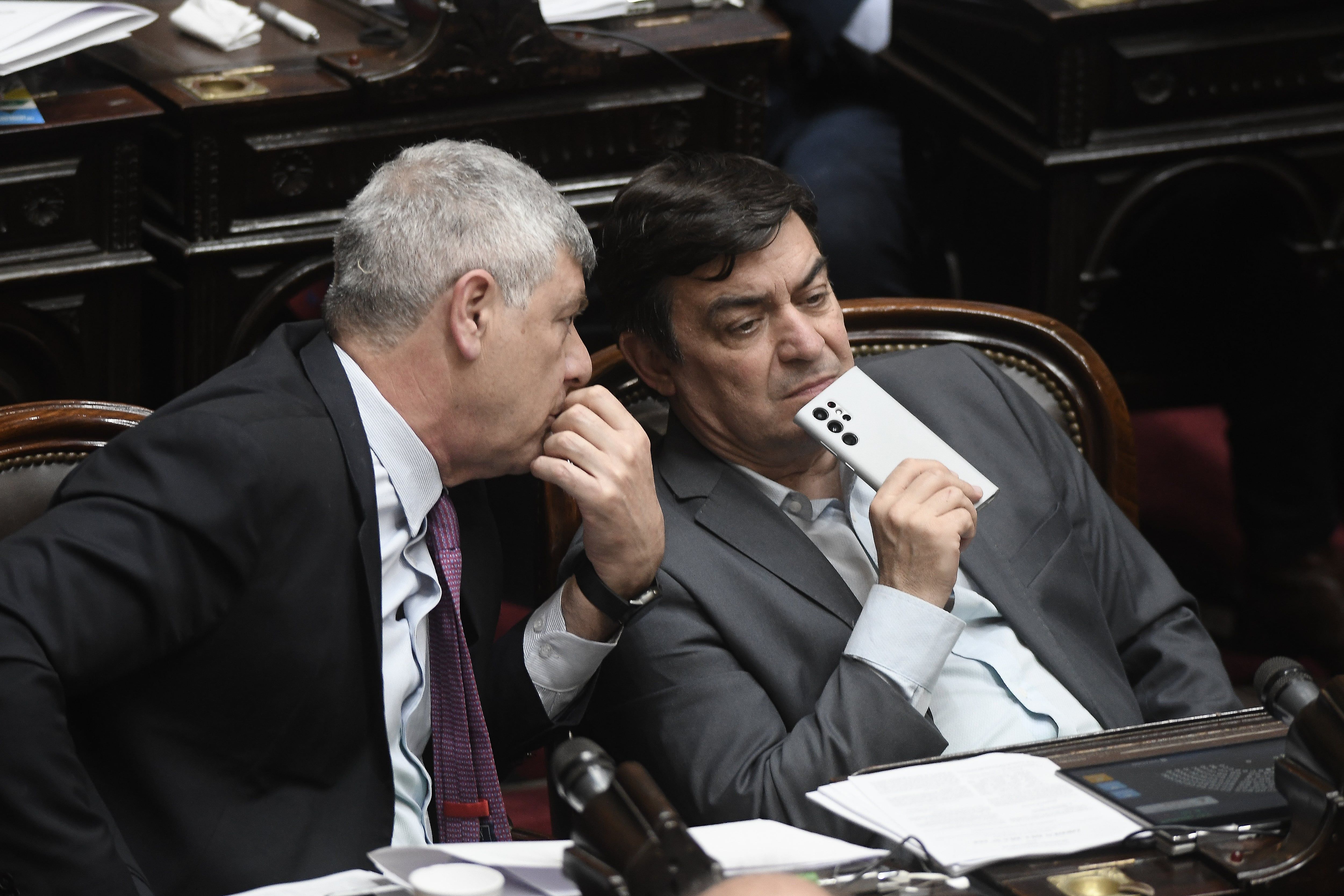 Omar De Marchi Consenso fiscal diputados Foto Federico Lopez Claro