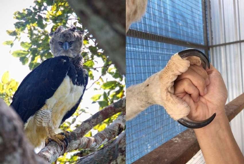 
    Imagen ilustrativa / Web
   