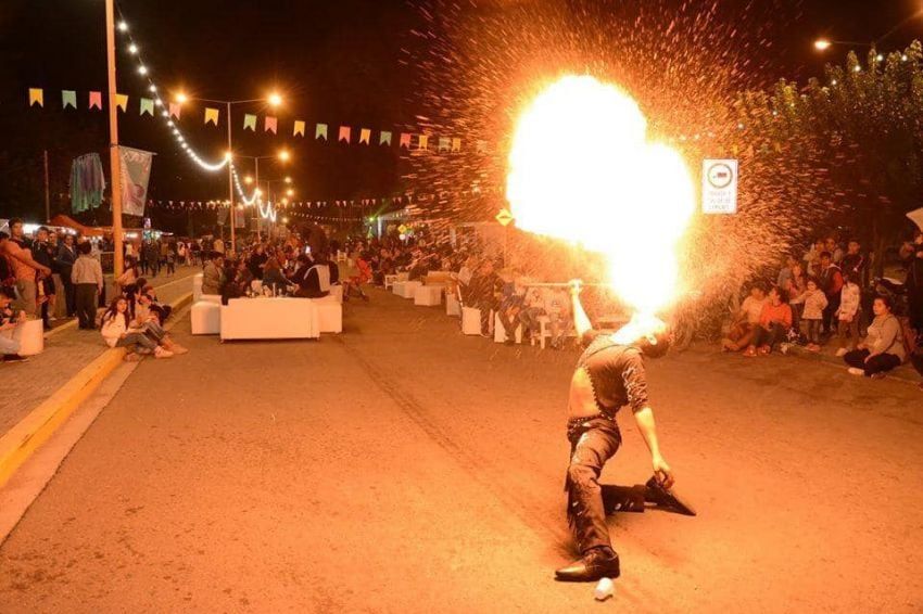 
    Circus magenta. Despliega sus destrezas en Las Heras
   