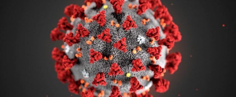 Coronavirus (Foto: web)