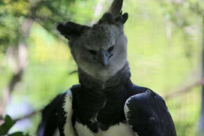 
    Imagen ilustrativa / Web
   